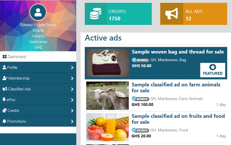 Classified Ads Website